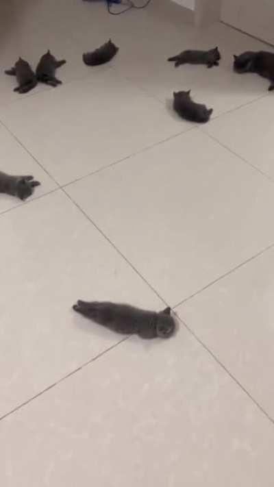 Spilled all over the floor. Tsk. Such a mess.