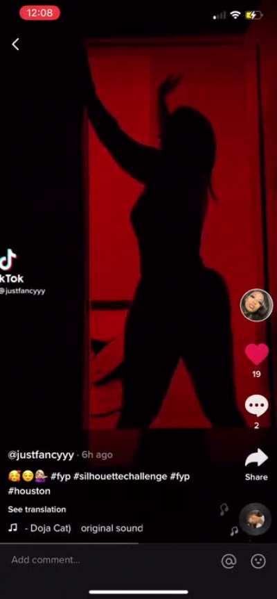 Silhouette Challenge