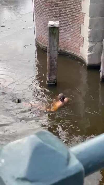 WCGW ice skating on thin ice in Amsterdam