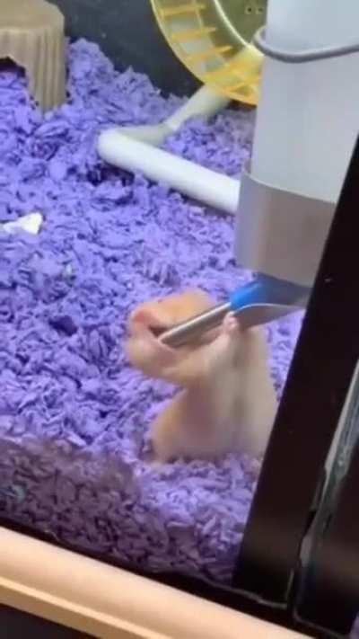 Furry people worship about these stuff?