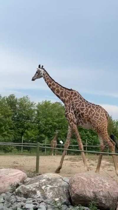 Their tech is getting more advanced by the minute.