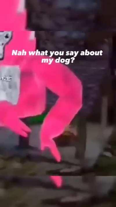 Am back again with my dog rufus