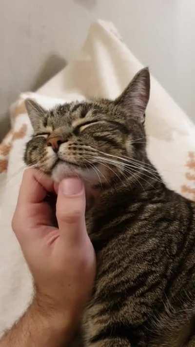 about to pass out...