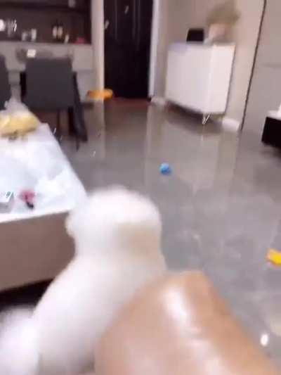 He invented his own game! So cute!