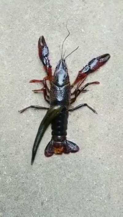 Thanks, I hate this unholy union.