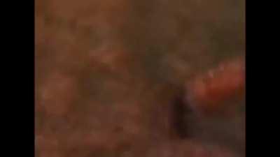 This is a good way to clear your land