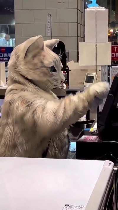 fiquei confuso por 5 segundos