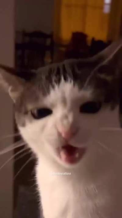 more crunchy 💜🥰