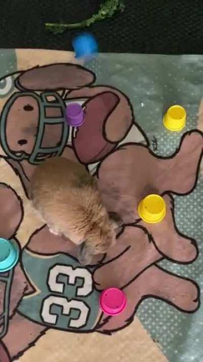 For ages 6 months and up