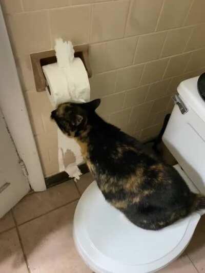 Moxie considers herself an abstract artist.