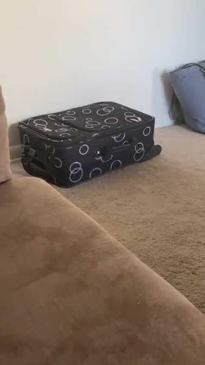 Stealthily sneaking on my trip.