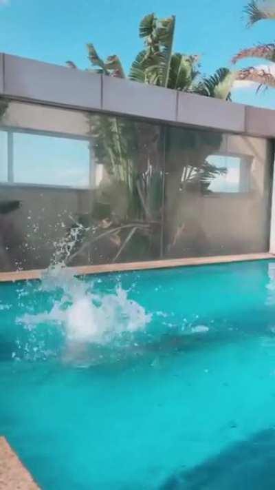 Simplesmente deliciosa