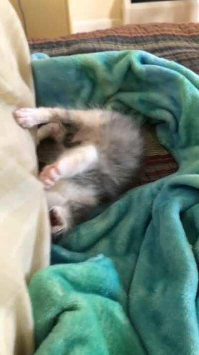 Baby practicing the purfect chew