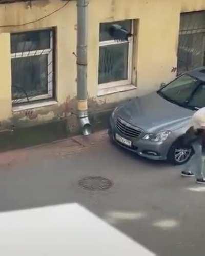 Снимая молодую ворону с крыши автомобиля