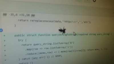 Some kind of jumping spider trying to catch my mouse - Philadelphia PA