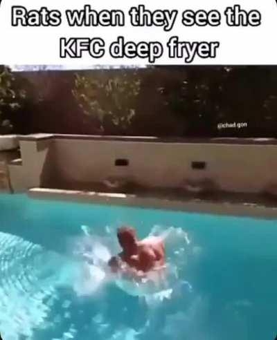 Kentucky fried cock
