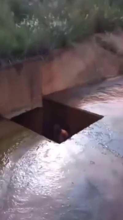 His laugh gets me everytime😂