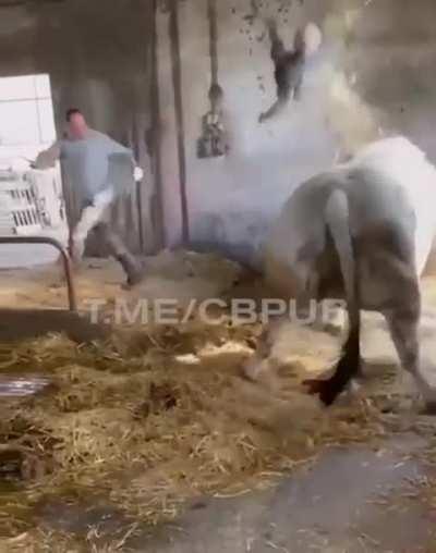 from OK to KO in seconds