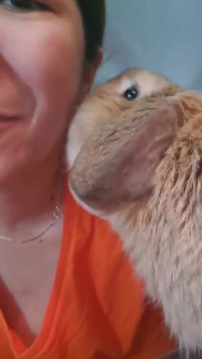 Sunny kisses are the best! 😘 🐰