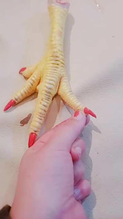 Beauty Lounge - Salon infrumusetare