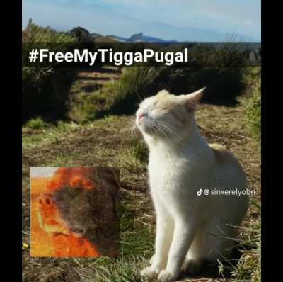 release mah tigga