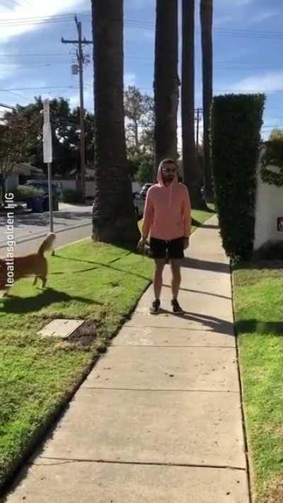 Verifying is impawtant!!!