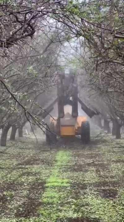 Tree Trimming Machine