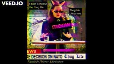 I didn´t choose the NATO thug life.