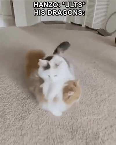 Let the dragon consume you