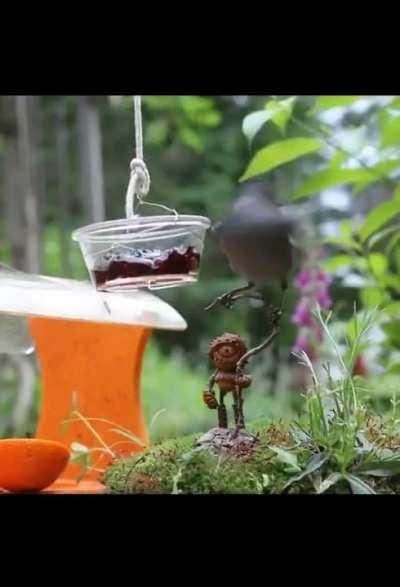 What an Amazing Photographer