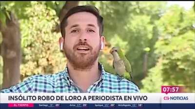 negame la inseguridad..