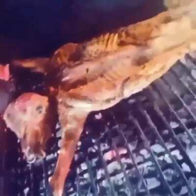 NOOOO OSCAR 😭😭