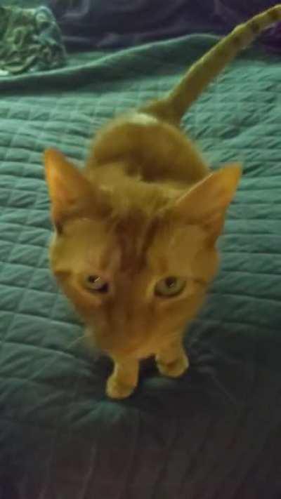 He was indeed talking to me.