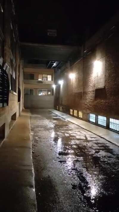 A Chicago Alleyway