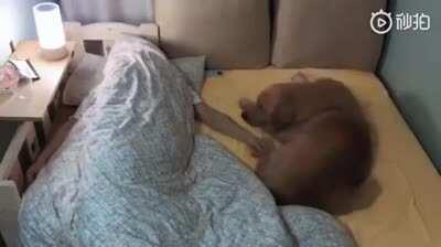 Не имеет значения, насколько велика кровать...