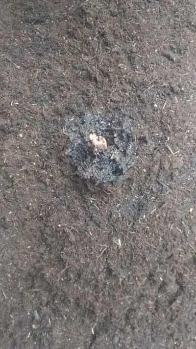 Time to reap what you sow