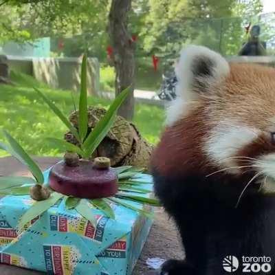 Adira Celebrating Her First Birthday!