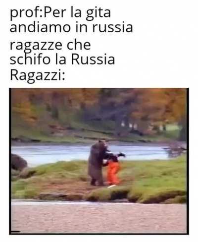 (La voce sarebbe il fr🏧 di quello che colpisce l'orso)
