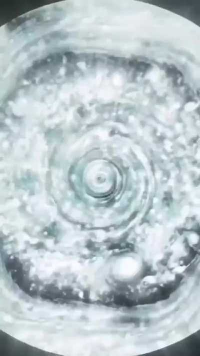 You will own chickens and work out