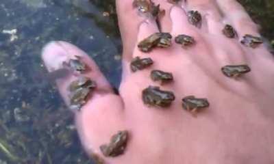 Making new friends down by the river.