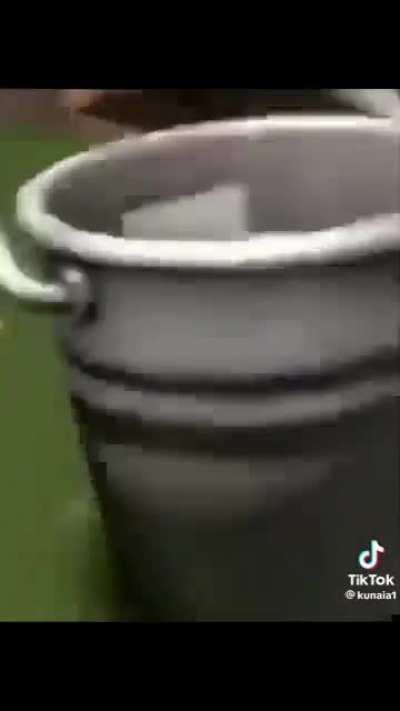 Repost if you have dimentia! :)