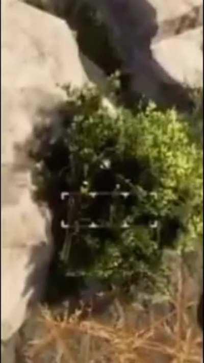 Bro was bush camping like it’s fortnite💀