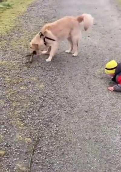 Don’t take the puppy’s stick!