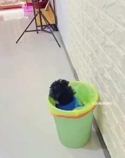 I thought it was a toy