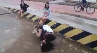 She tried to bully the wrong person