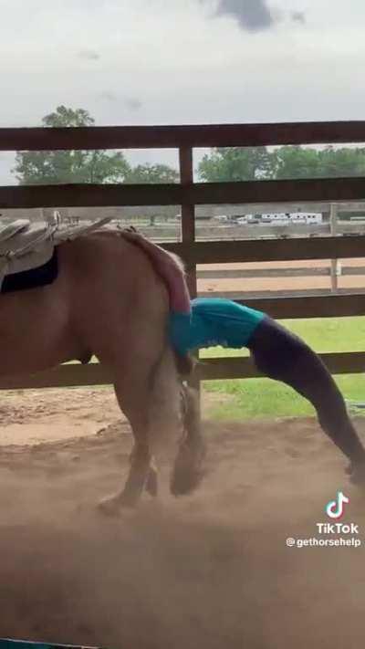 She's an awesome rider... uh nvm.