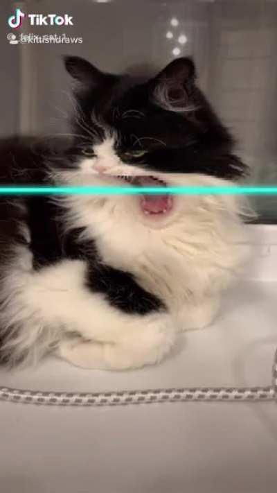 I had the office to myself for an hour and a half today