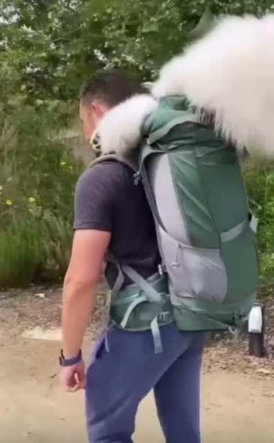 Fluffy doggy😂♥️