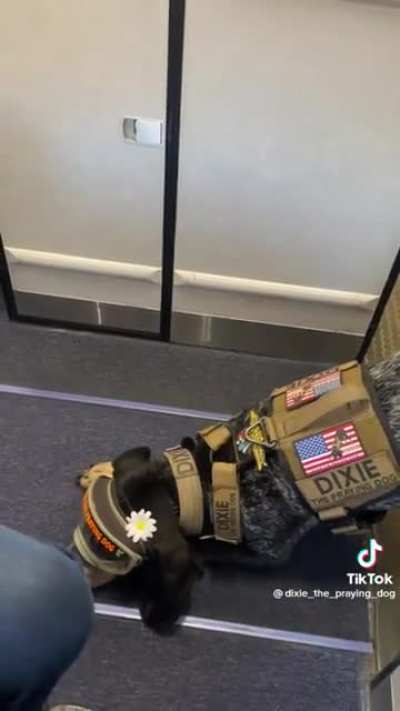 Oh Dixie. I love you. ❤️