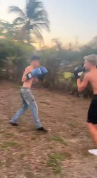 Ended up chipping his tooth with the last upped cut